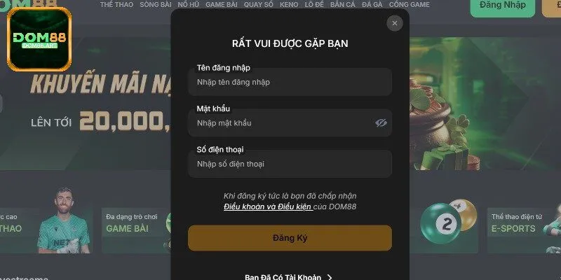 Các thông tin cần điền khi đăng ký Dom88