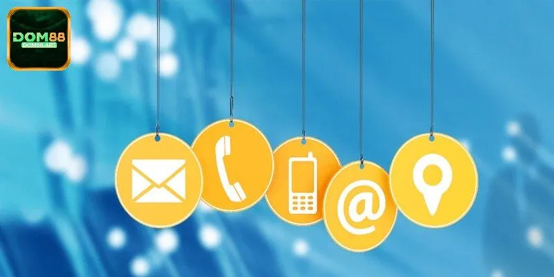 Liên hệ Dom88 qua nền tảng mạng xã hội