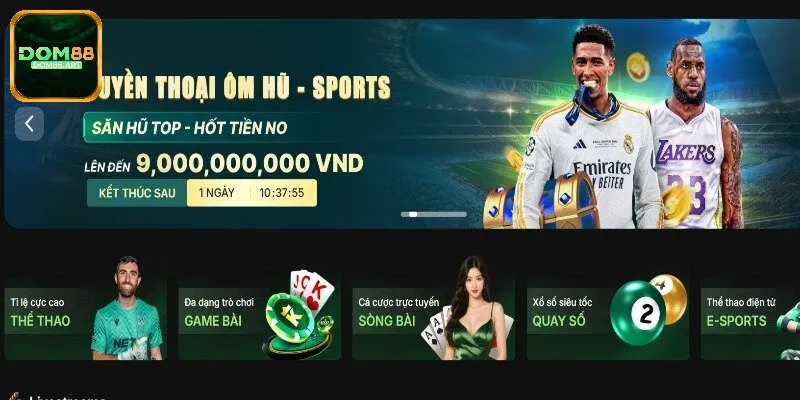 Tìm hiểu thông tin khái quát giới thiệu Dom88