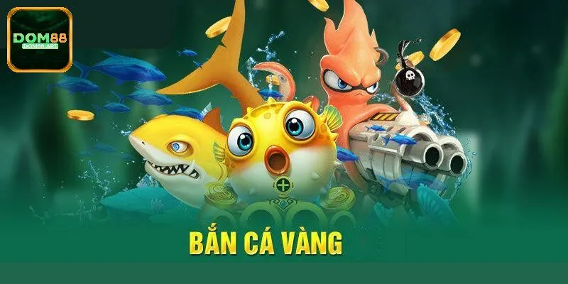 Tổng hợp hệ thống sinh vật biển